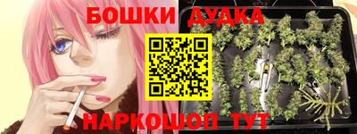 гашик Пушкино