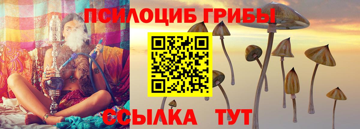 Псилоцибиновые грибы MAGIC MUSHROOMS Оренбург